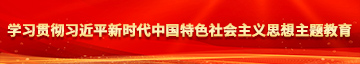 想看操逼逼学习贯彻习近平新时代中国特色社会主义思想主题教育